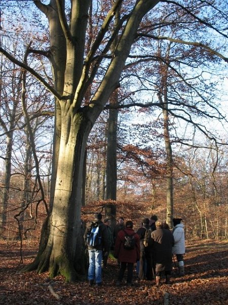 2007 11 Etangs de Hollande 20